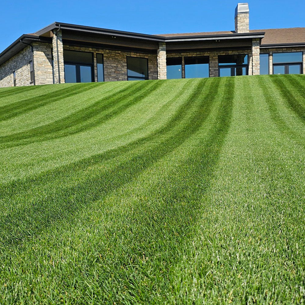 13-6-13 Complete Start w/ Micronutrients, Biochar & Compost | Mini Prills