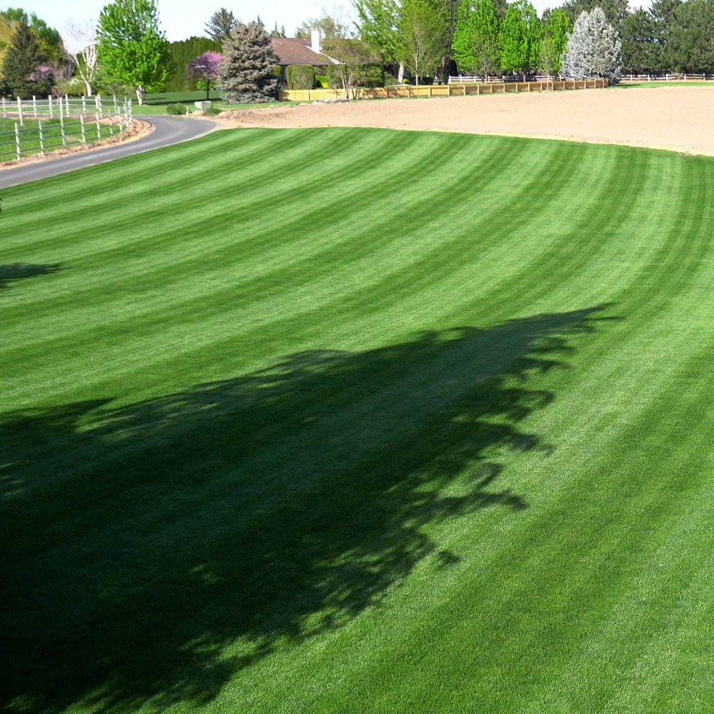 22-0-2 Whiplash w/ Micronutrients, Biochar & Compost | Mini Prills