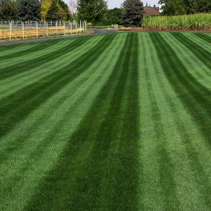 22-0-2 Whiplash w/ Micronutrients, Biochar & Compost | Mini Prills